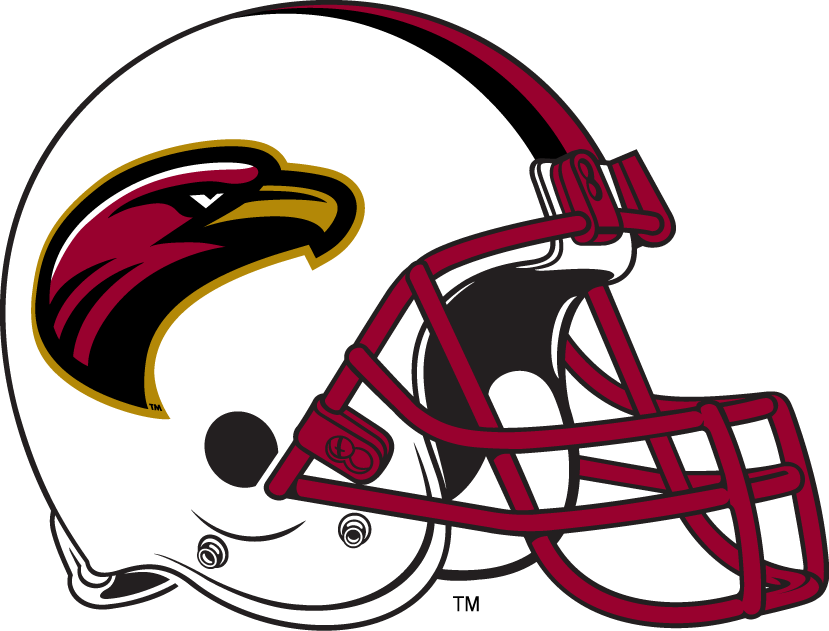 Louisiana-Monroe Warhawks 2006-Pres Helmet Logo diy fabric transfer